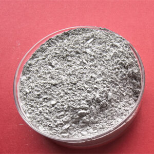 POLVO DE LAPADO FO 3000